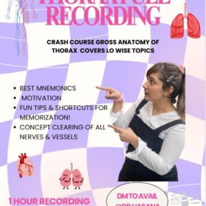 Thorax