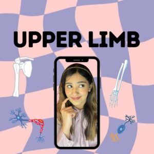 Upper limb