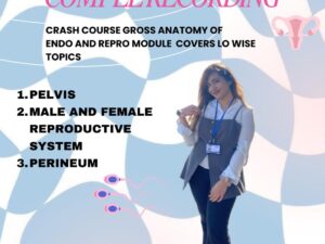 Endocrinology & Reproduction (Pelvis & Perineum)