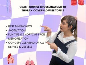 Thorax Crash course (quick revision of entire region)