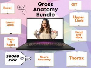 Gross Anatomy Bundle