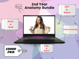 2nd Year Anatomy Bundle