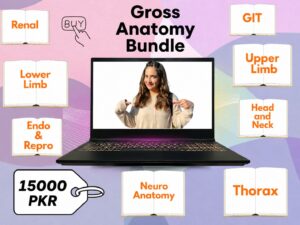Gross Anatomy Bundle