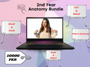 2nd Year Anatomy Bundle