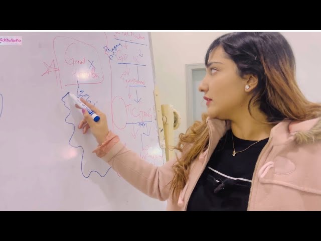 Parotid Gland Anatomy | Nerve Supply Preganglionic Otic Ganglion | Freys syndrome