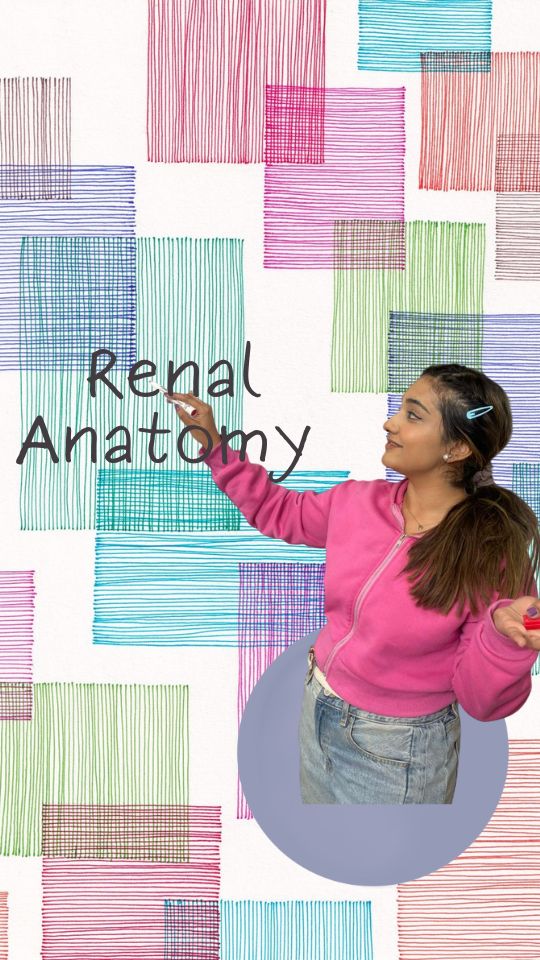 Renal (Posterior Abdominal Wall)