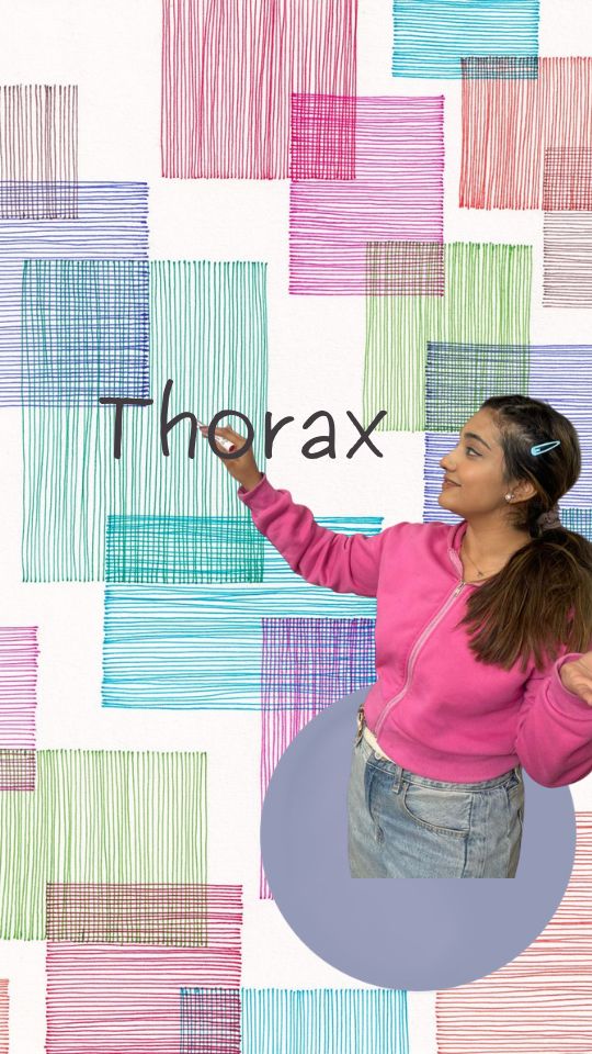 Thorax