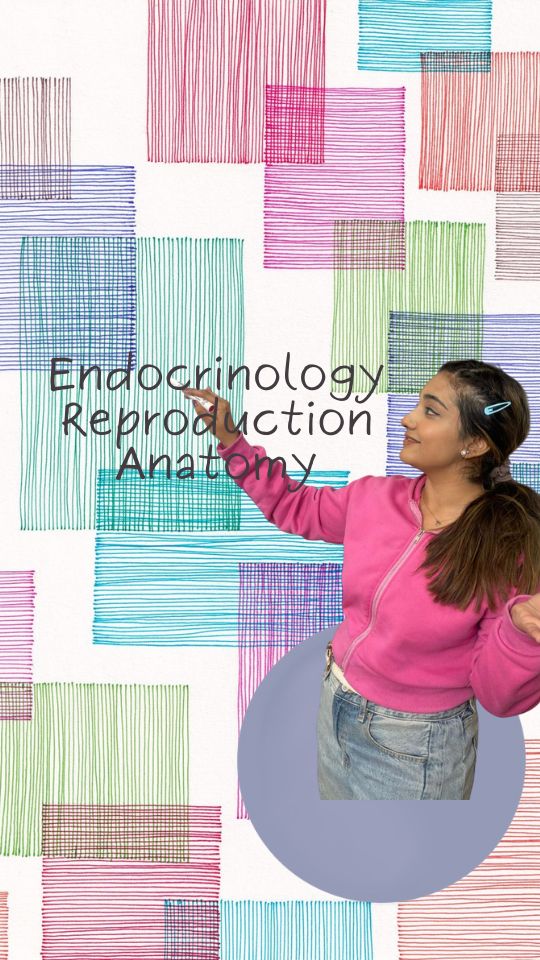 Endocrinology & Reproduction (Pelvis & Perineum)