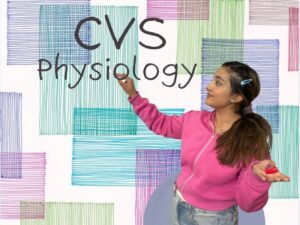 Physiology CVS
