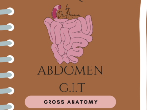 GIT Anatomy Crash Notes