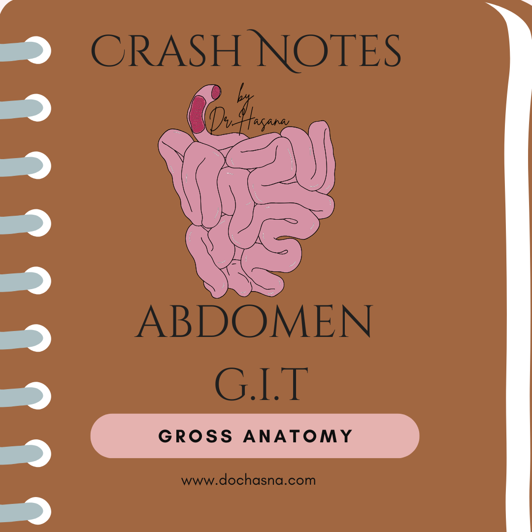 GIT Anatomy Crash Notes
