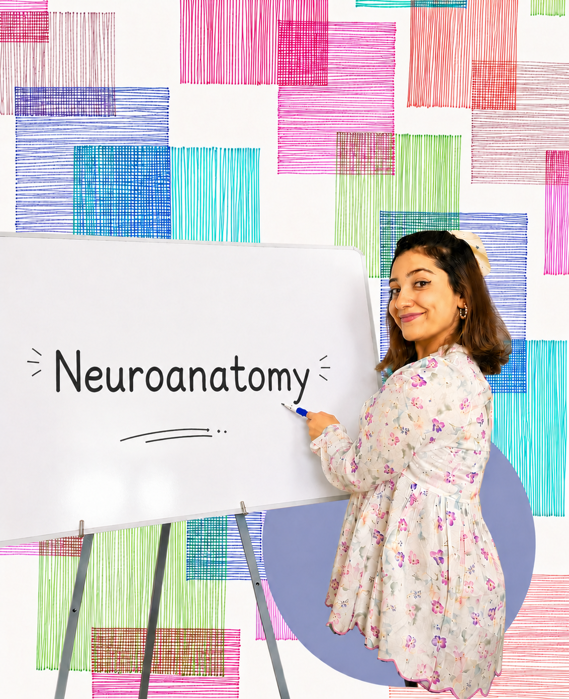 NEUROANATOMY Long Course