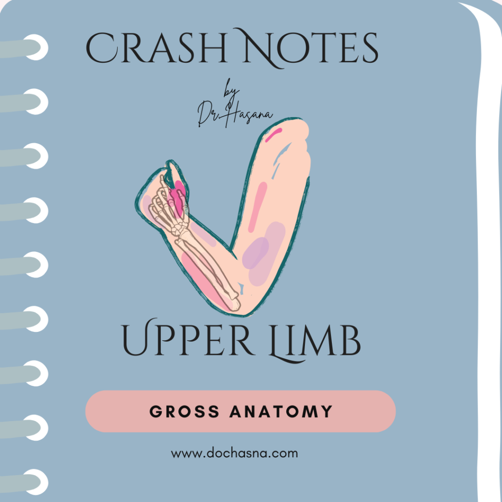 Upper Limb Notes