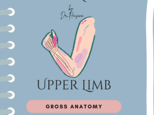 Upper Limb Notes